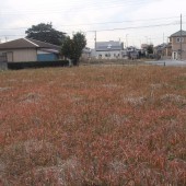 DSCF3484